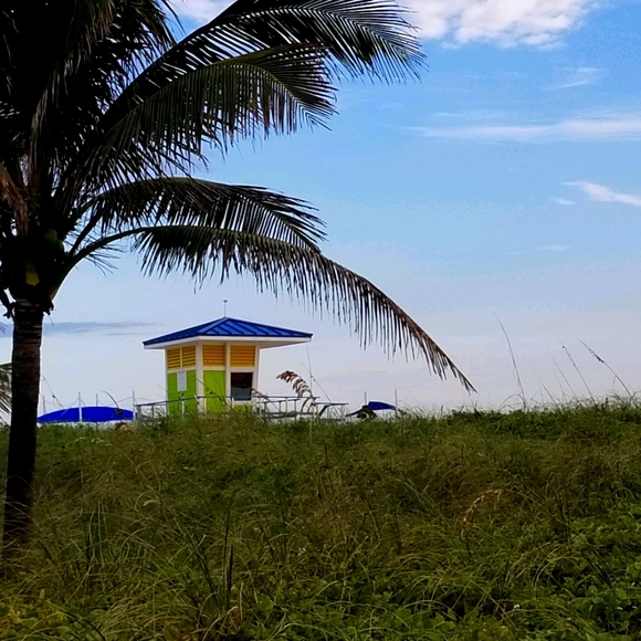 Meet your Posher, Almira - Picture 1 of 1